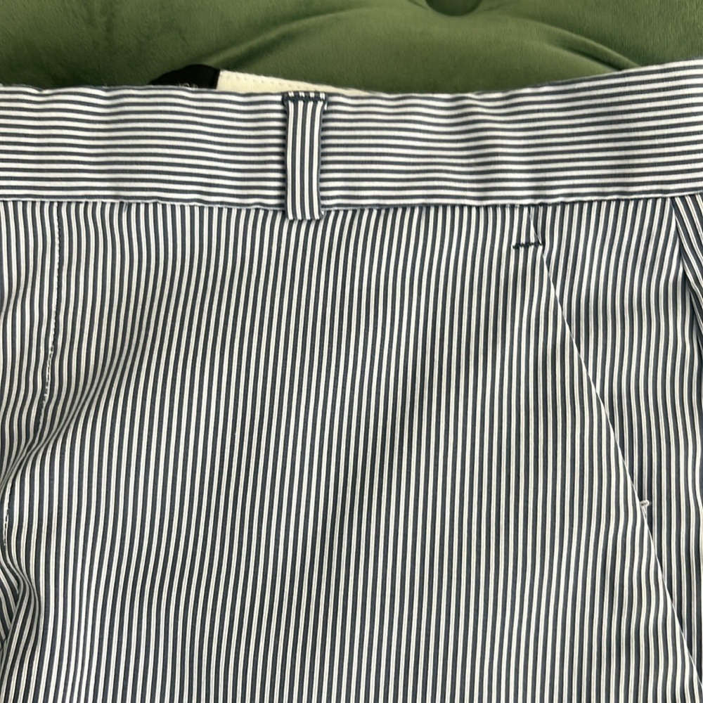 Banana Republic Women's Tailored Stripe Short 5 Inch Blue Stripes - Picture 4 of 4